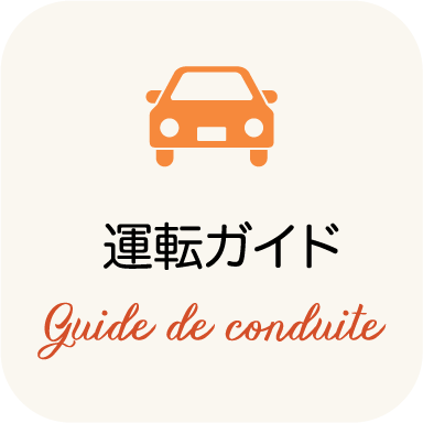 drive-guide-icon-link